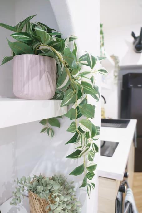La Casa Del Chic Lägenhet Cabestany Exteriör bild